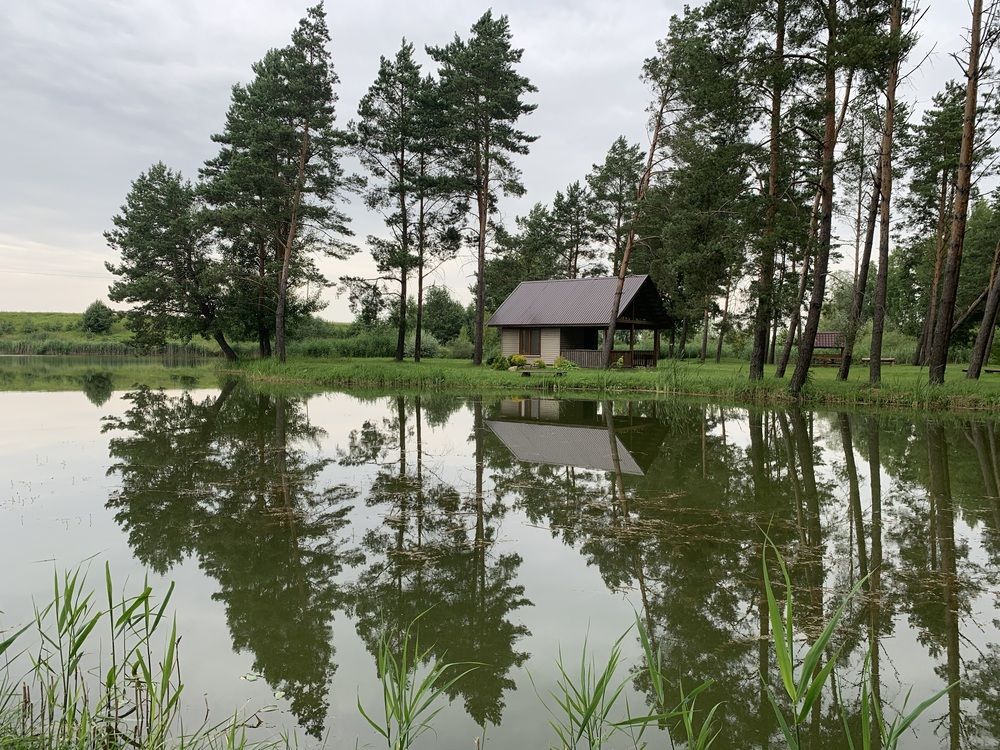 Фотография автора Ирина Шпаковская