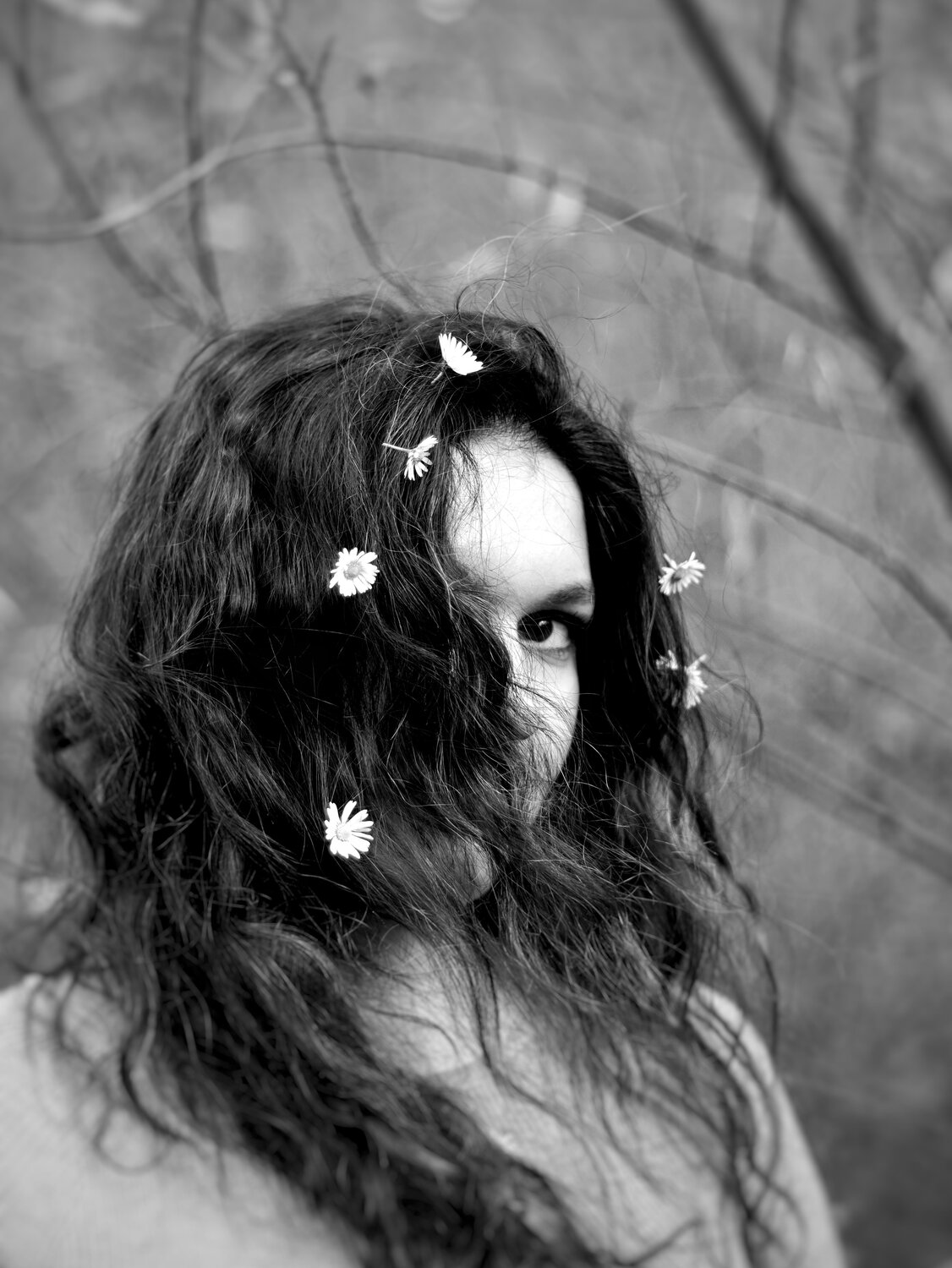 Photo #11872969