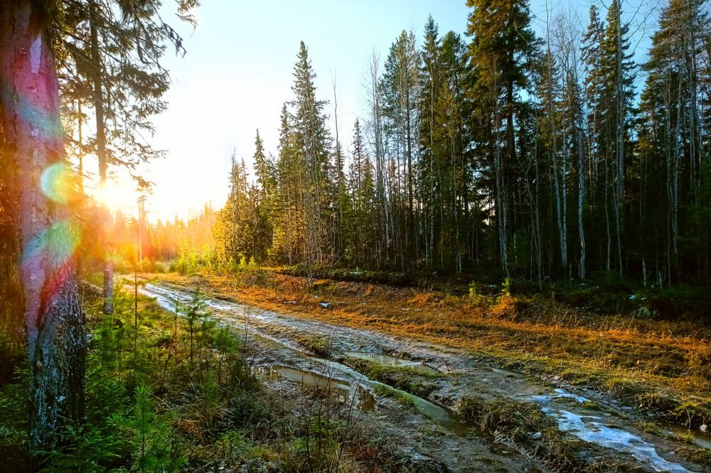 Photograph by Юрий Листов