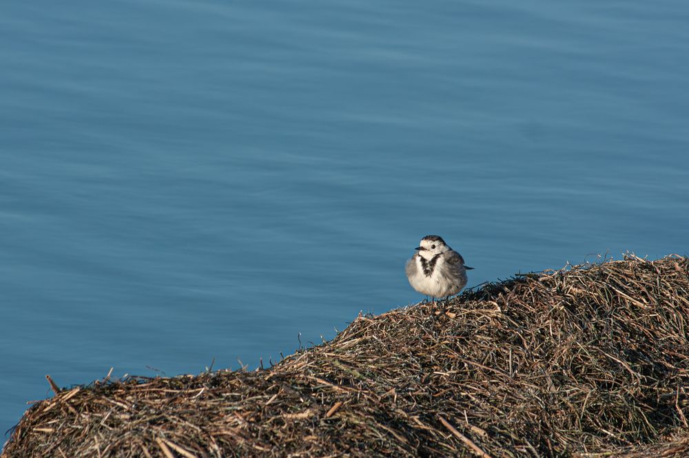 Photograph by Сергей Христинич