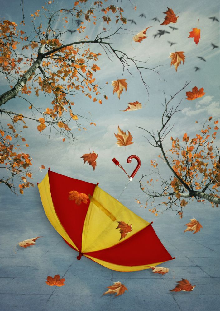 Одиночество