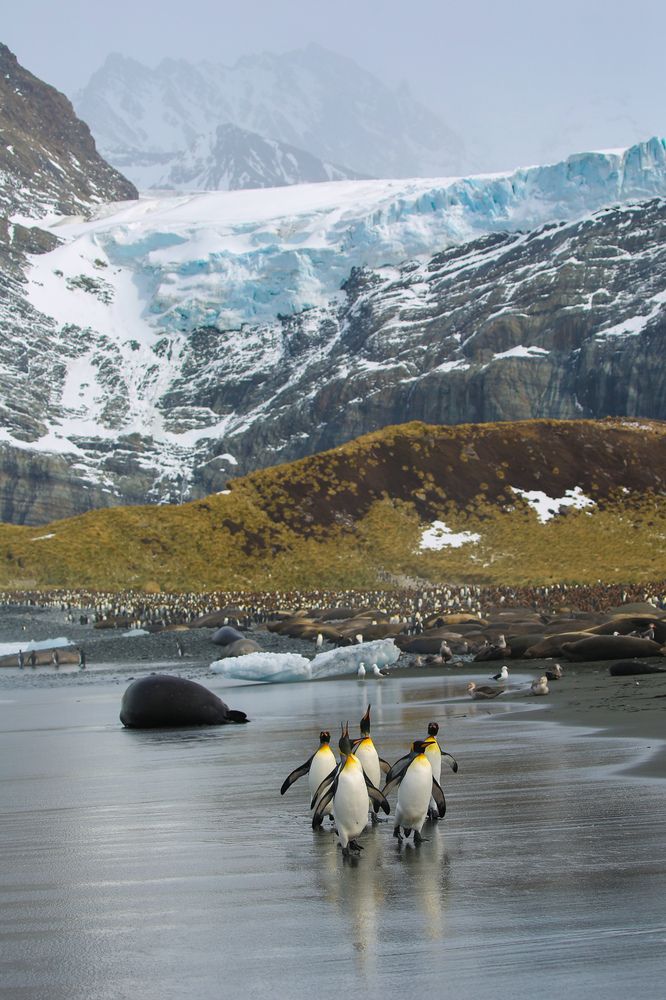 Photograph by Ольвия Яковлева