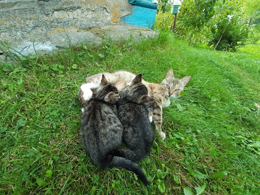 Photograph by Владимир Владимирович