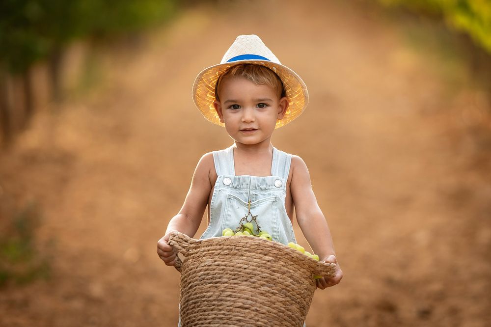 Photograph by Mònica Udina