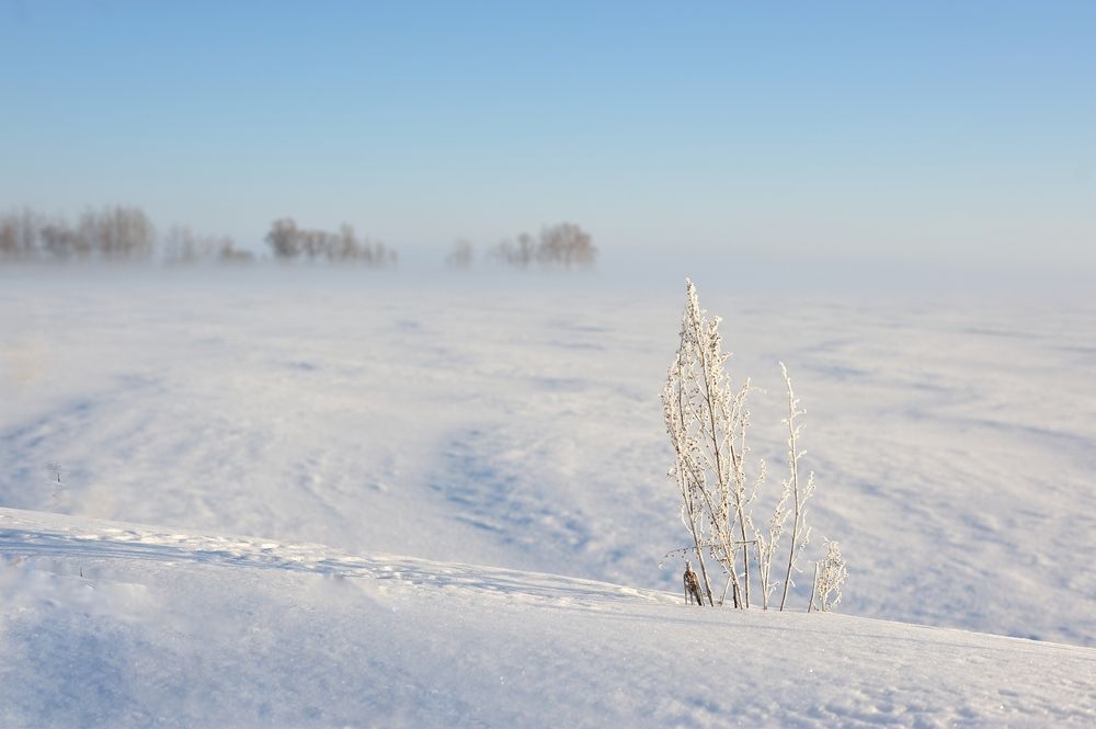 Photograph by Владимир Щеголев