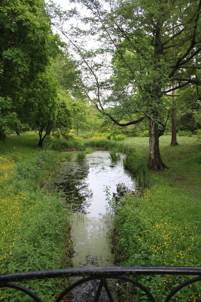 Photograph by Елена Пильцова