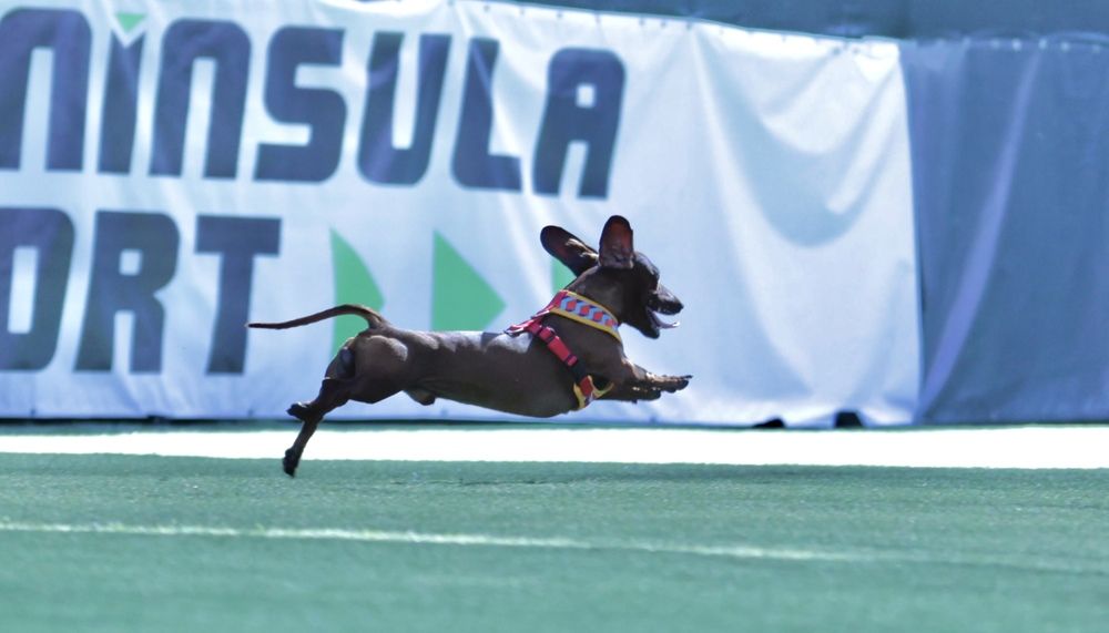 Photograph by Oscar Cortes Alarcón