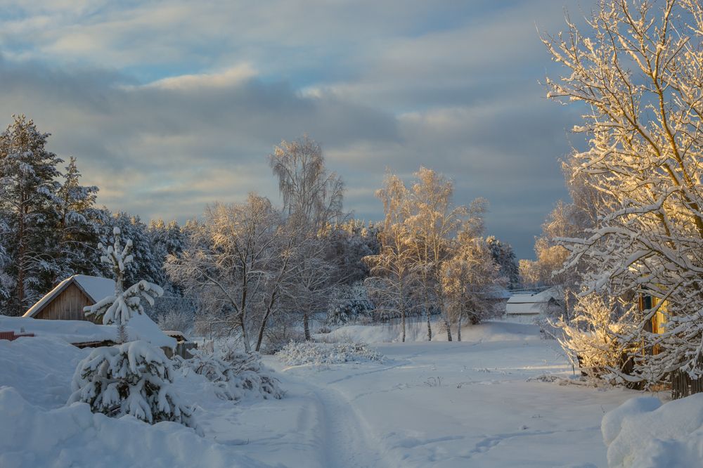 Photograph by Алексеев Дмитрий