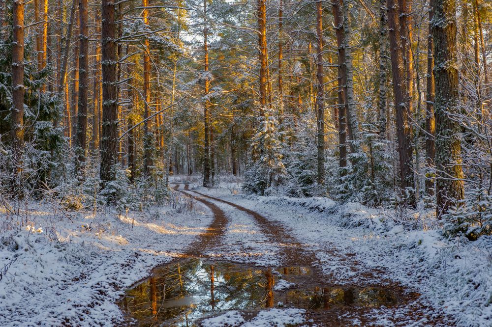 Photograph by Алексеев Дмитрий