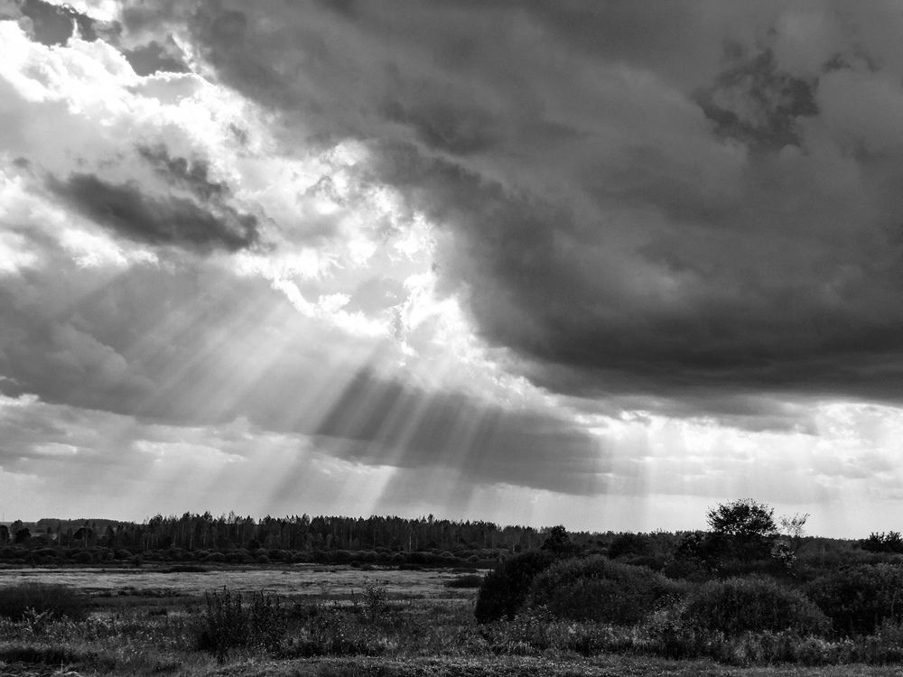 Photograph by Анастасия Гурова