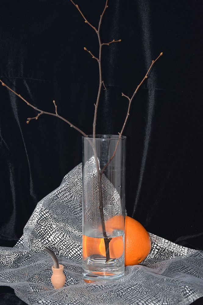 Этюд с апельсином