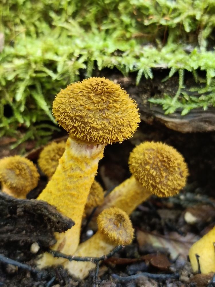 Photograph by Виталий Евдокимов