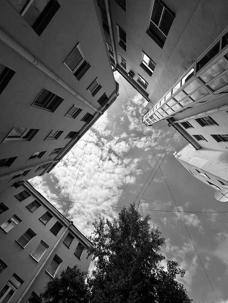 Photograph by Halina Mitsevich