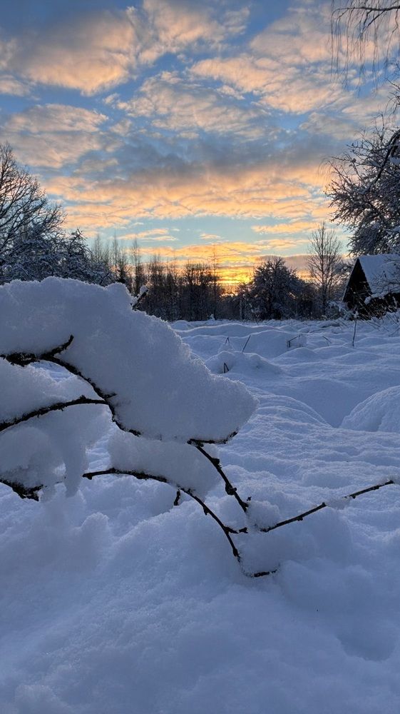 Photograph by Halina Mitsevich