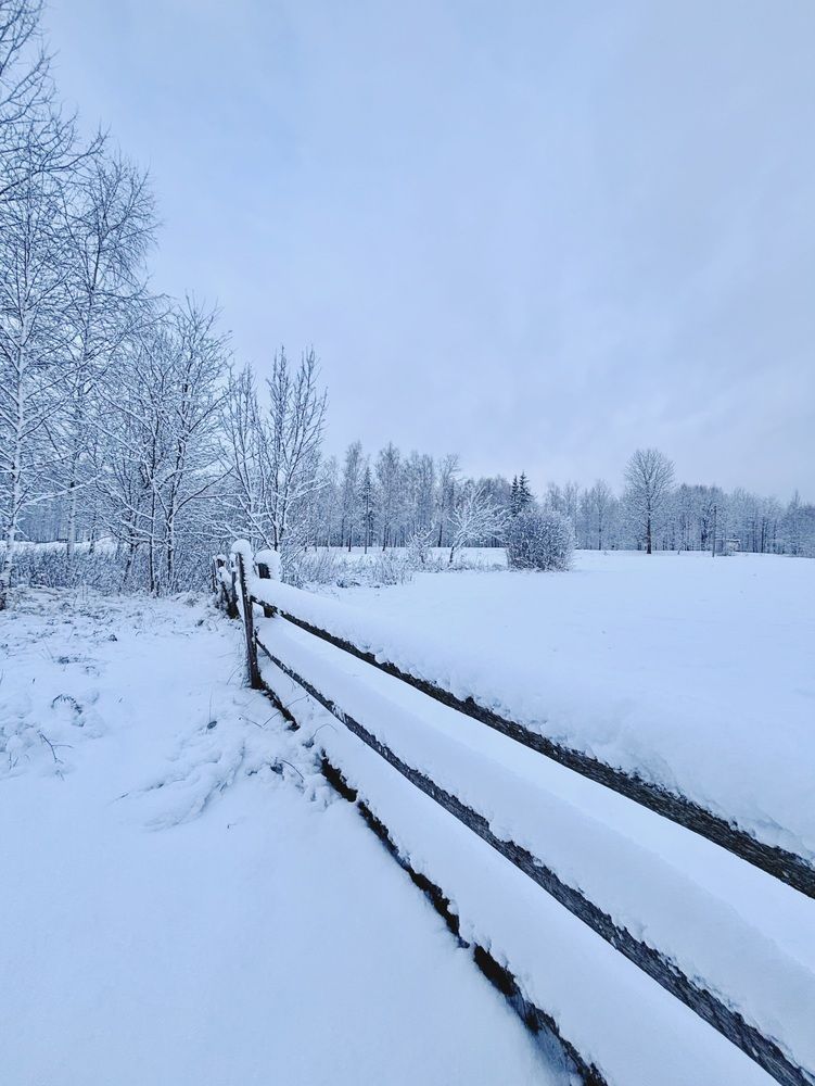 Photograph by Halina Mitsevich