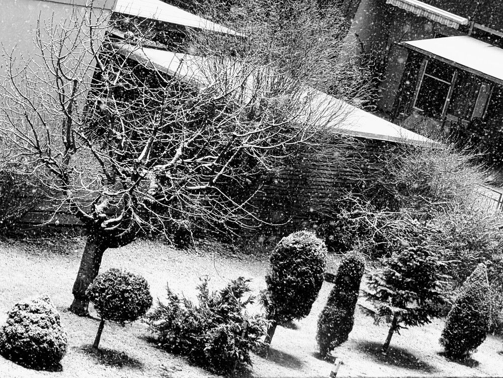 Photograph by Ольга