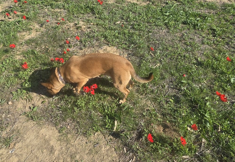 Photograph by Yulia Rotbach