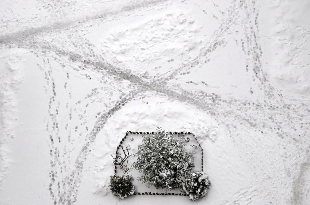 Photograph by Светлана