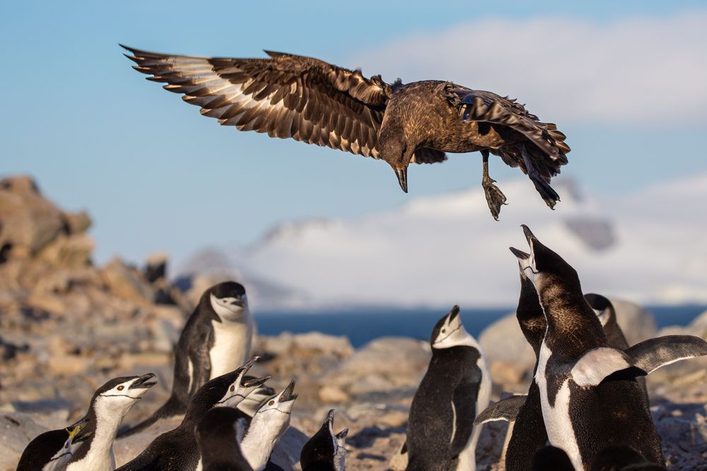 Photograph by Ольвия Яковлева