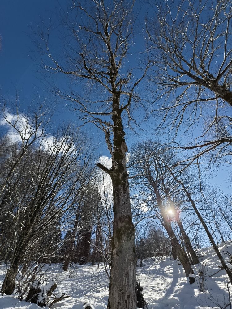Фотография автора Евгений Былков