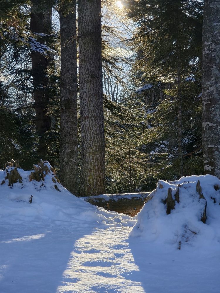 Фотография автора Евгений Былков