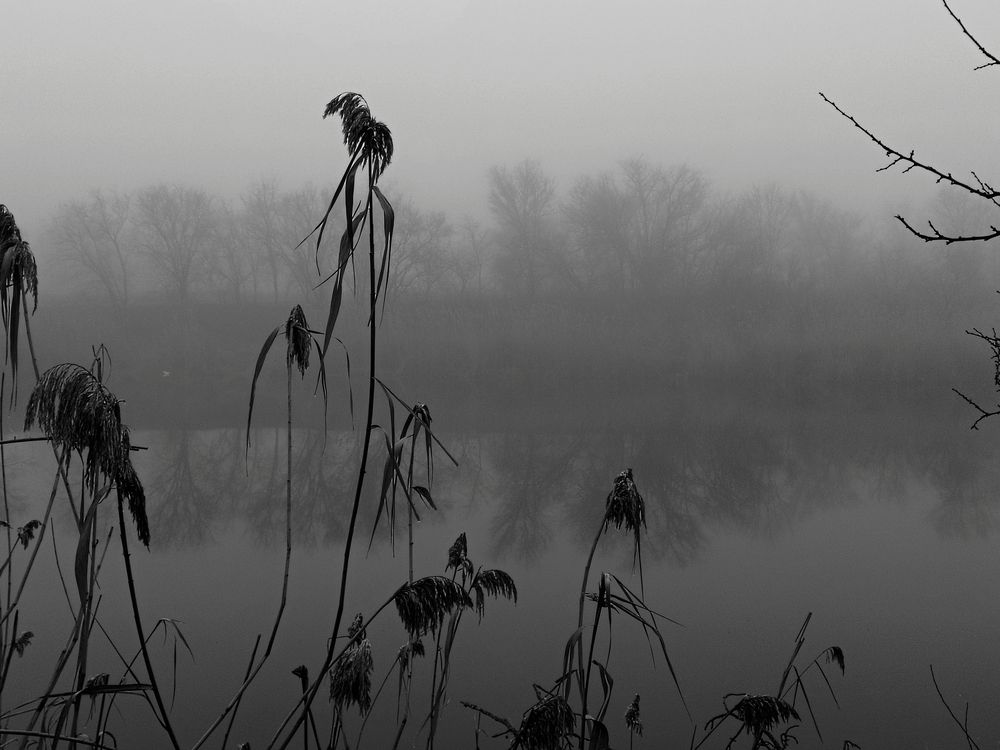 Photograph by Александр Казачек