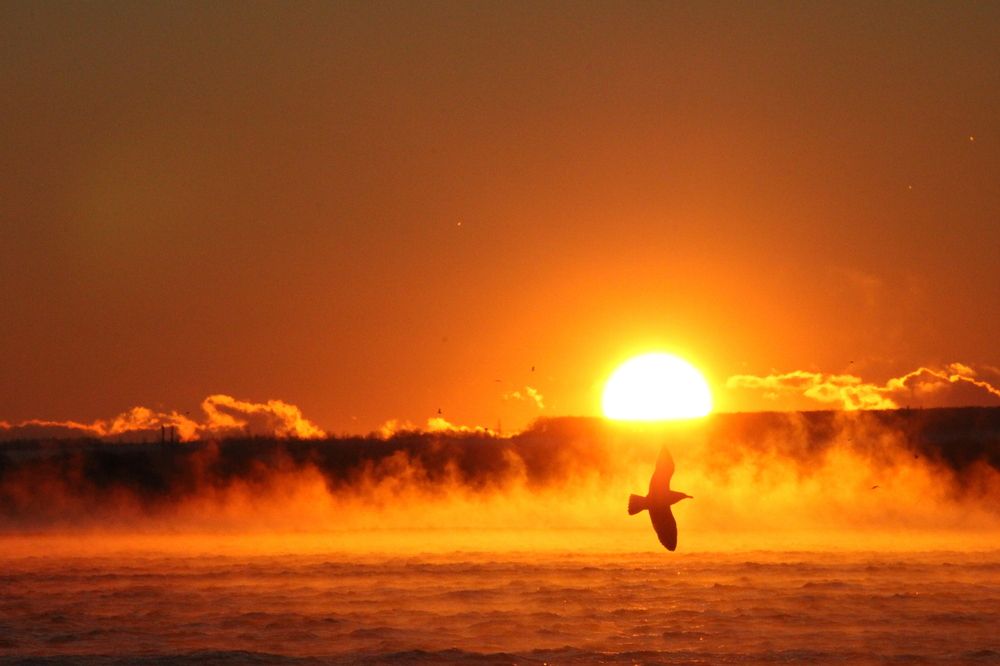 Photograph by Наталья Мершина