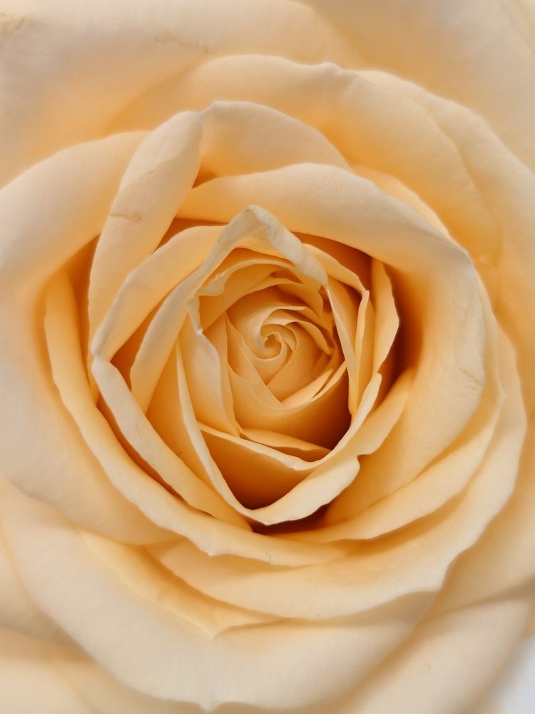 Фотография автора Евгений Былков