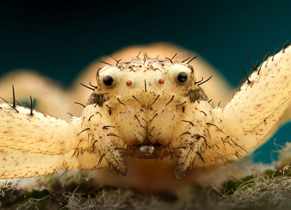 Photograph by Антон Сидоров