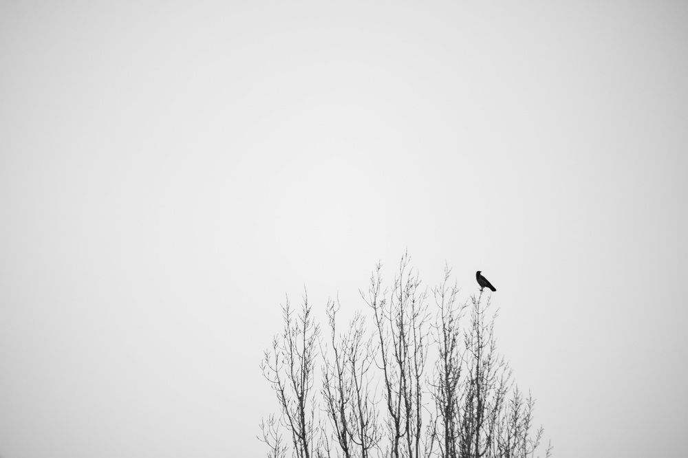 Photograph by Наталья Мершина