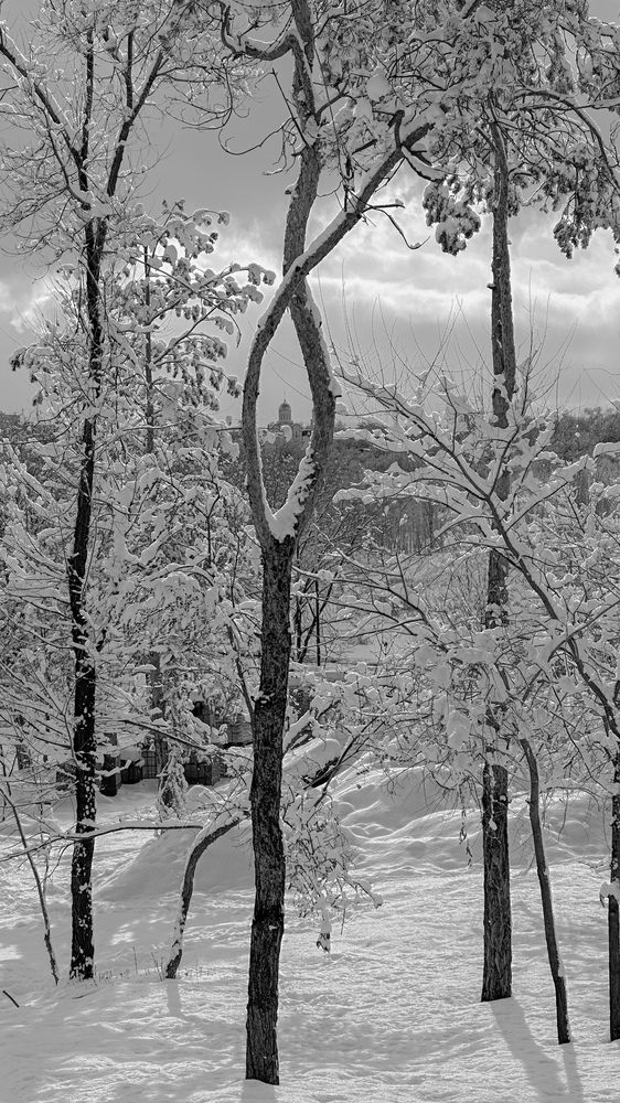 Photograph by Александр Шаварёв