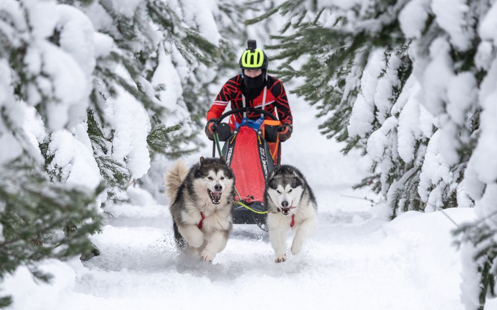 Photograph by Илья Юфа