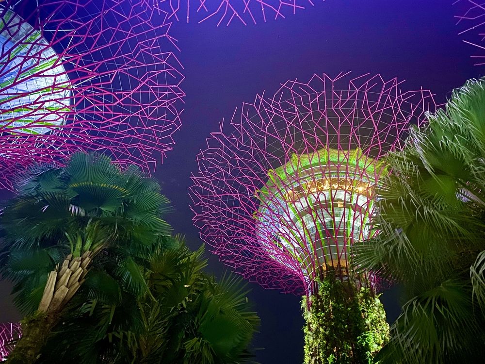 Photograph by Nune Pashayan