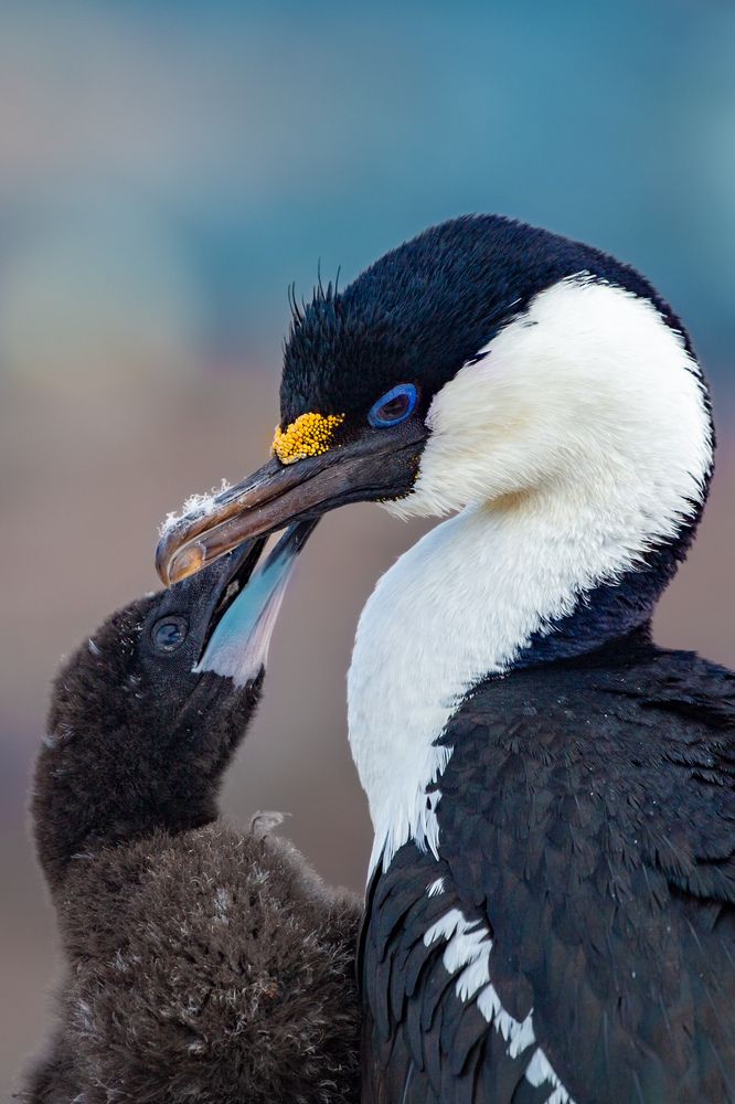 Photograph by Ольвия Яковлева
