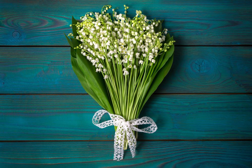 Photograph by Arina Bogachyova