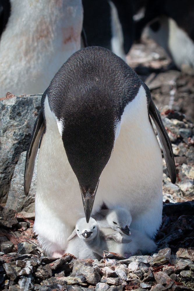 Photograph by Ольвия Яковлева