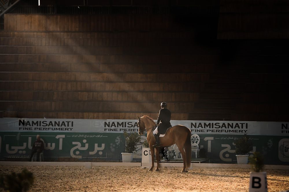 Photograph by Amin Zamanian