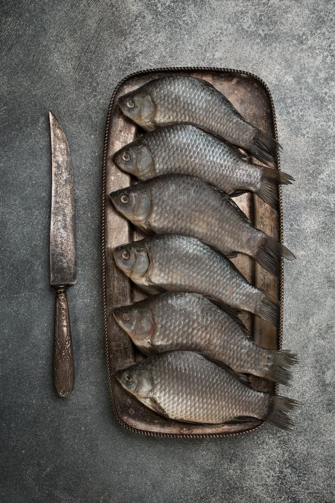 Photograph by Arina Bogachyova