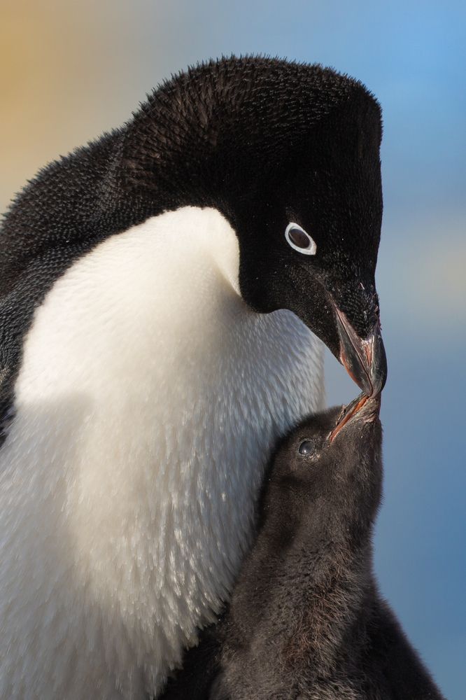 Photograph by Ольвия Яковлева