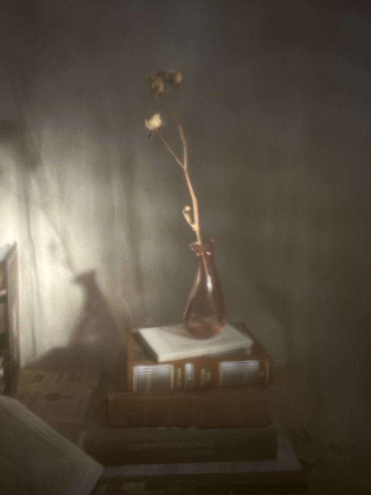 Photograph by Ксения Рейнгардт