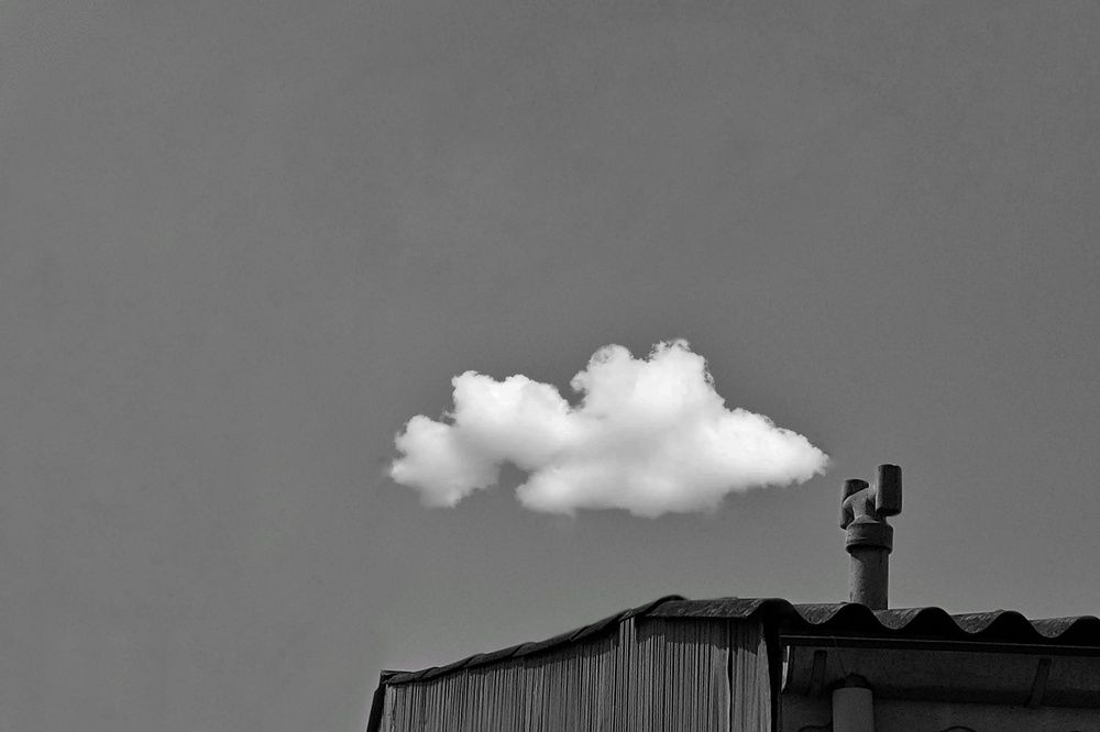 Photograph by shima yousef zade