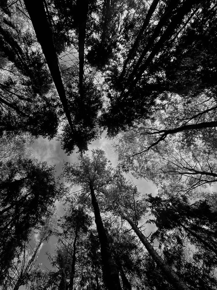 Фотография автора Алина Руденко