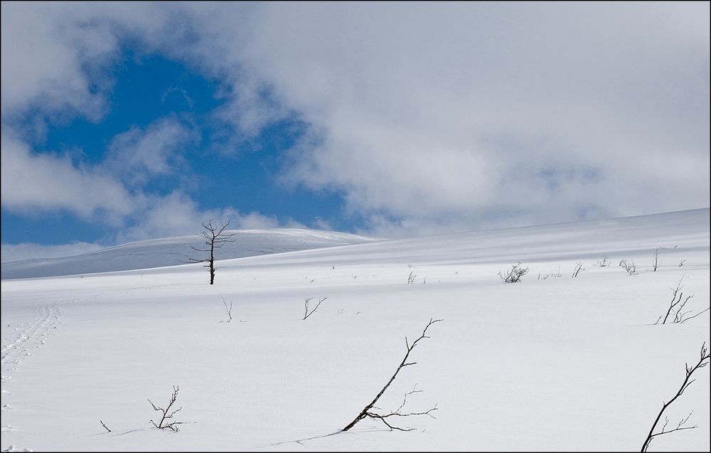 Photograph by Владимир