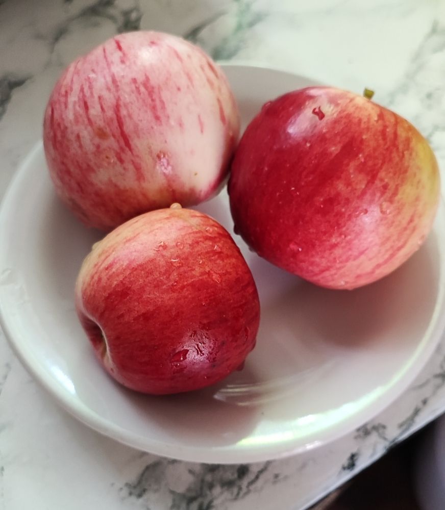 Photograph by Елена Юдина