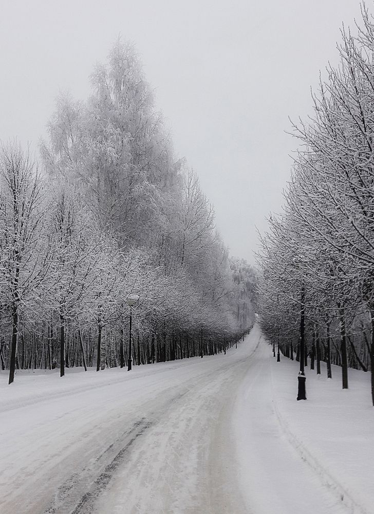 Photograph by Вербицкий Петр