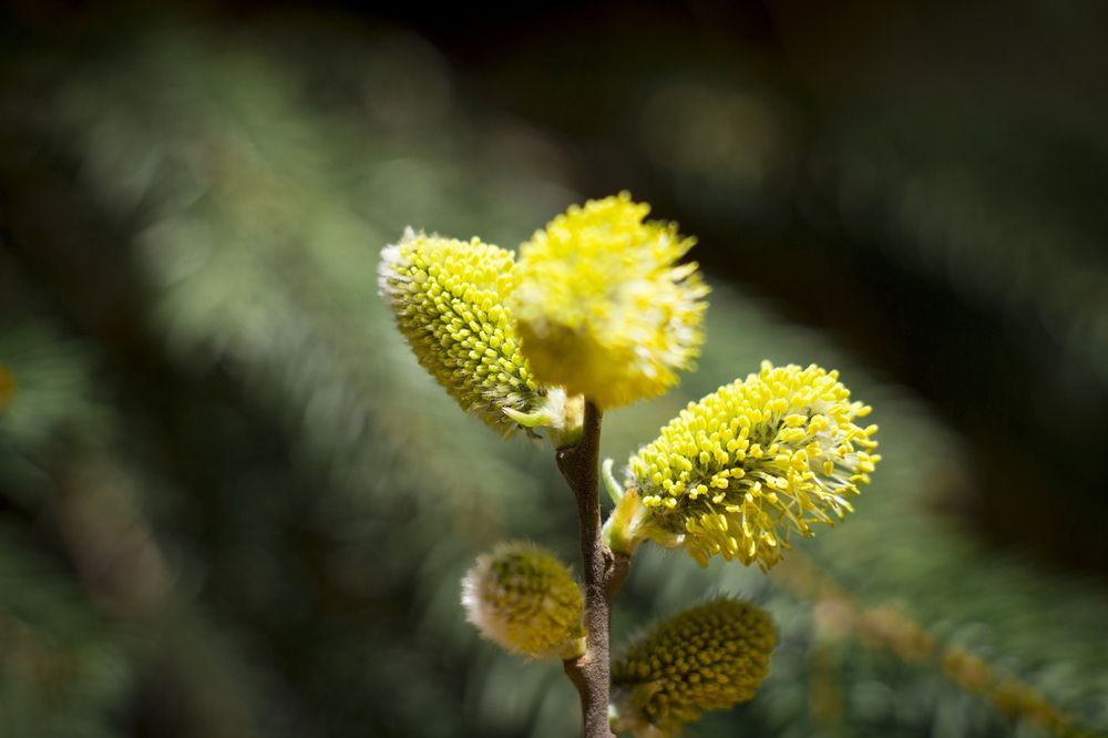 Photograph by Елена Фатьянова