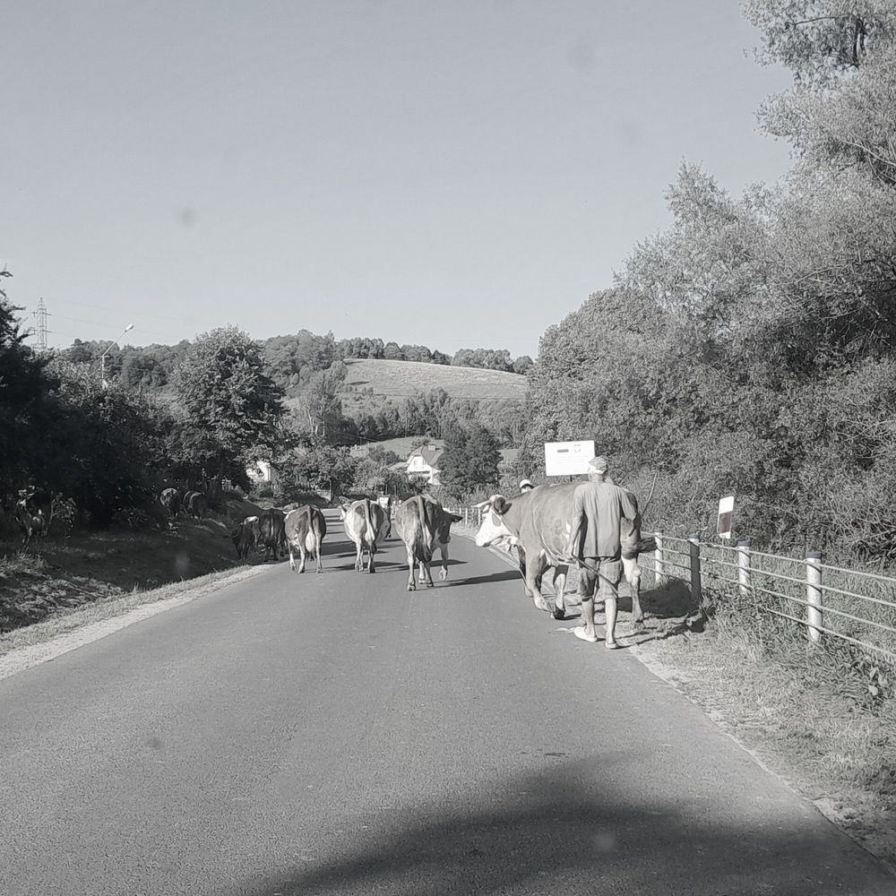 Photograph by Stella Szpinek