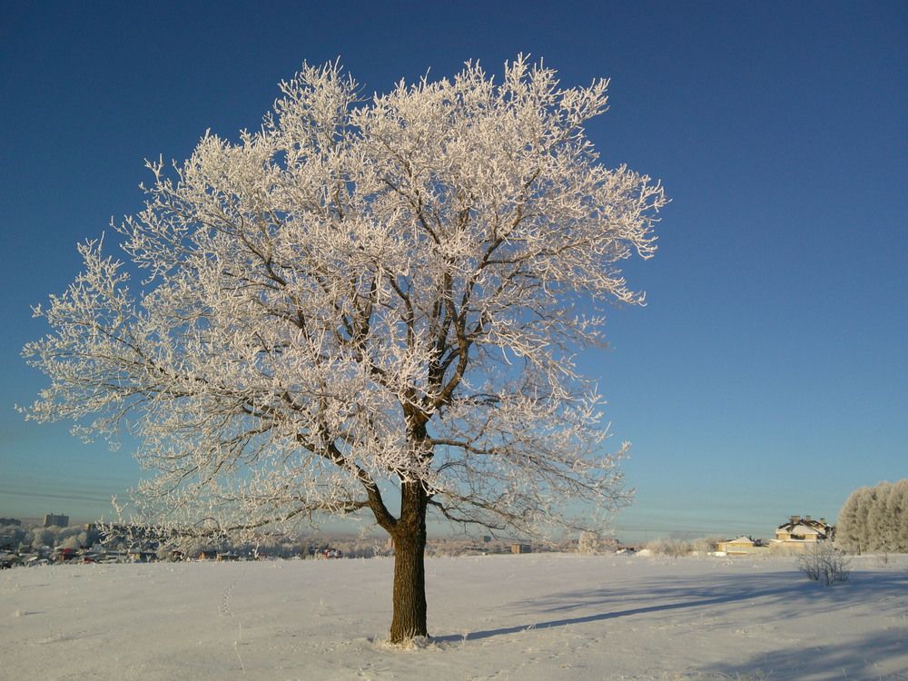 Photograph by Александр Кизим