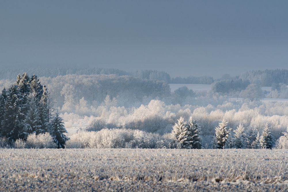 Photograph by Серёга Калабин