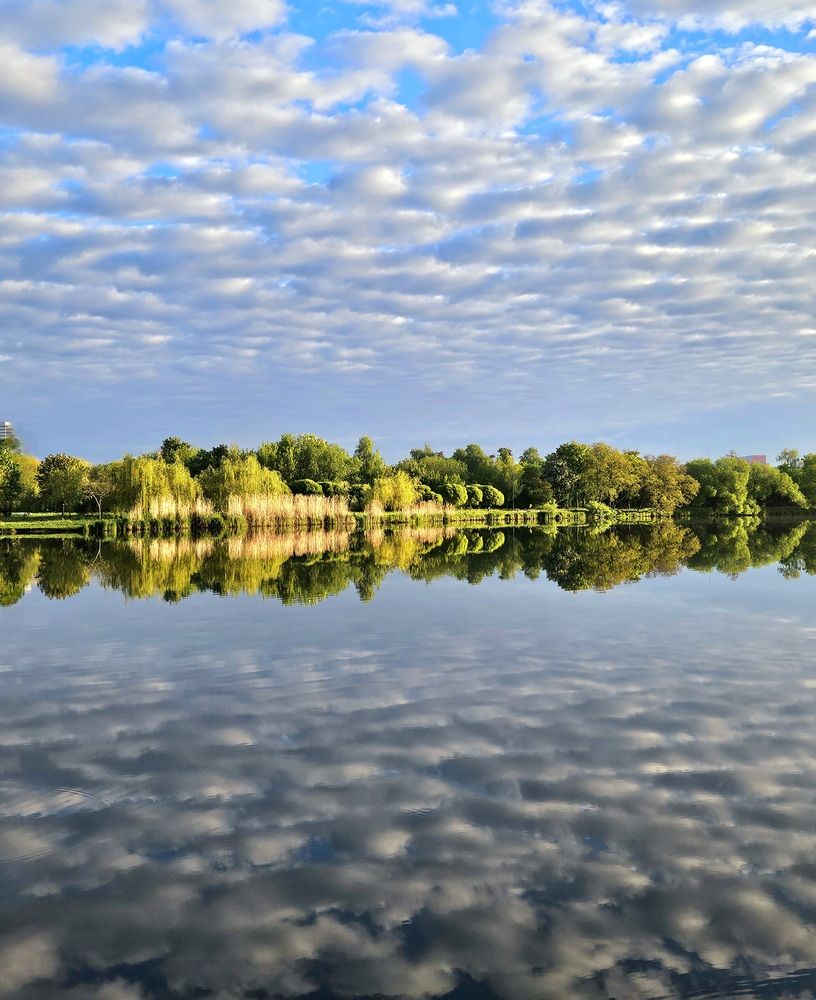 Фотография автора Elena Polonetskaya